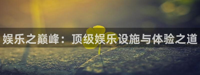 超凡国际：娱乐之巅峰：顶级娱乐设施与体验之道