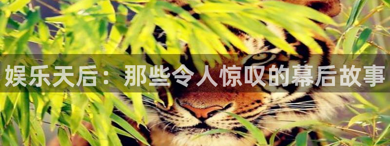 超凡国际：娱乐天后：那些令人惊叹的幕后故事