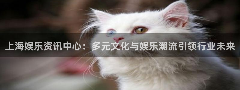 超凡国际服：上海娱乐资讯中心：多元文化与娱乐潮流引领行业未来