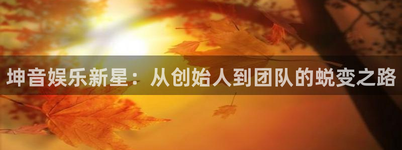 超凡国际app官方下载：坤音娱乐新星：从创始人到团队的蜕变之路