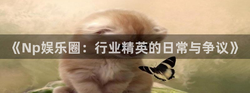 超凡国际：《Np娱乐圈：行业精英的日常与争议》
