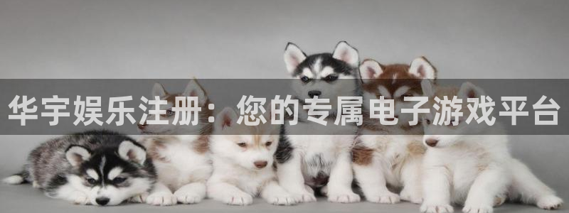 超凡国际下载app：华宇娱乐注册：您的专属电子游戏平台